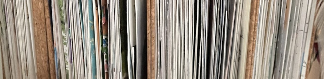 Uitsnede uit beeldende dagboekjes