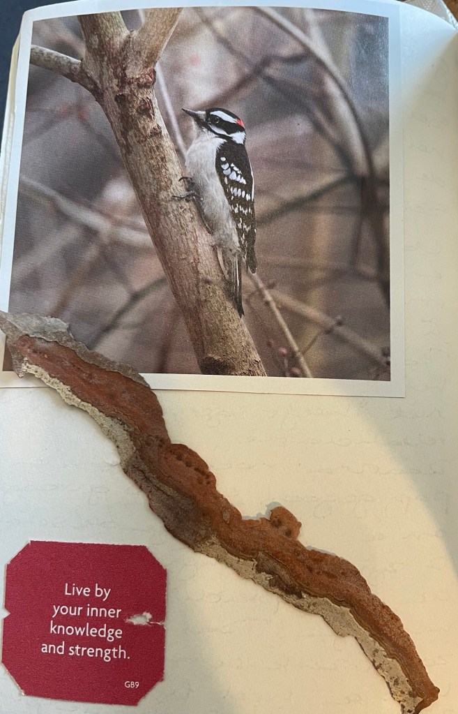 Bladzijde beeldend dagboek